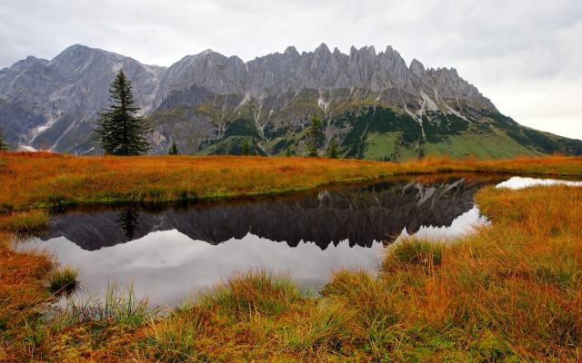 Mountain lake meadow forest autumn free wallpaper - medium preview image