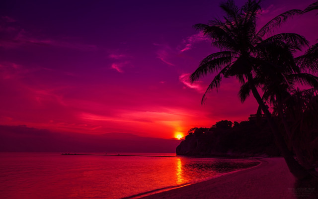 Sunset beach palm boat purple free wallpaper - medium preview image