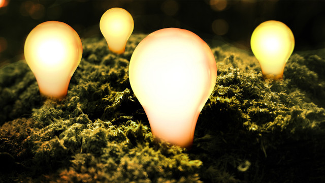 Light bulbs moss ground night free wallpaper - medium preview image