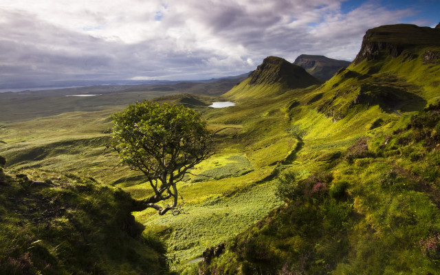 Tree grassy valley mountains lake free wallpaper - medium preview image