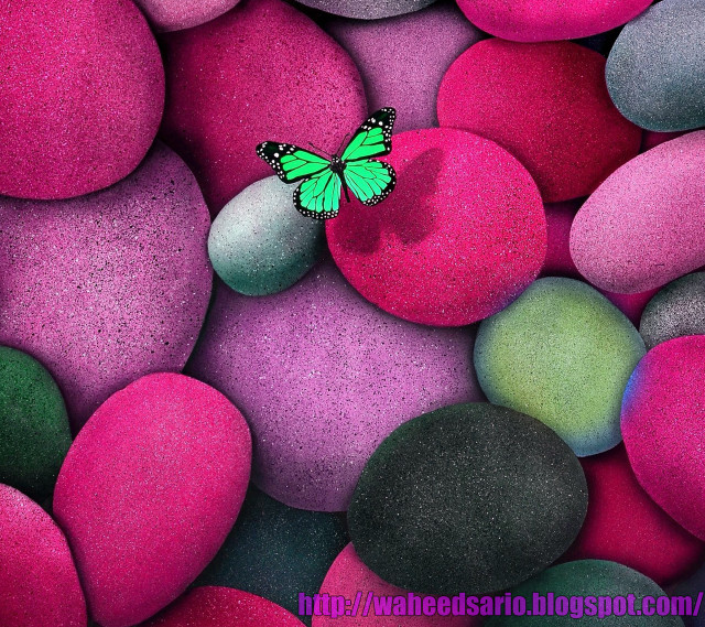 Green butterfly pile rocks pink free wallpaper - medium preview image
