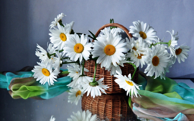 Basket white flowers table blue #2 free wallpaper - medium preview image