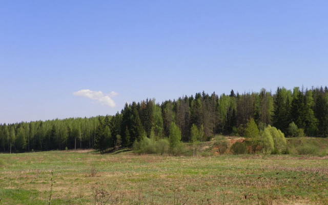 Field forest sky bush house free wallpaper - medium preview image