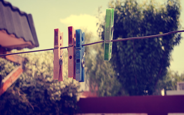 Clothes pins line trees building free wallpaper - medium preview image
