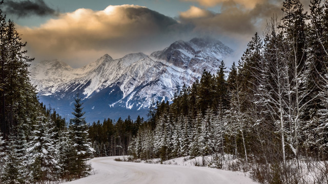 Snow covered mountain road trees free wallpaper - medium preview image