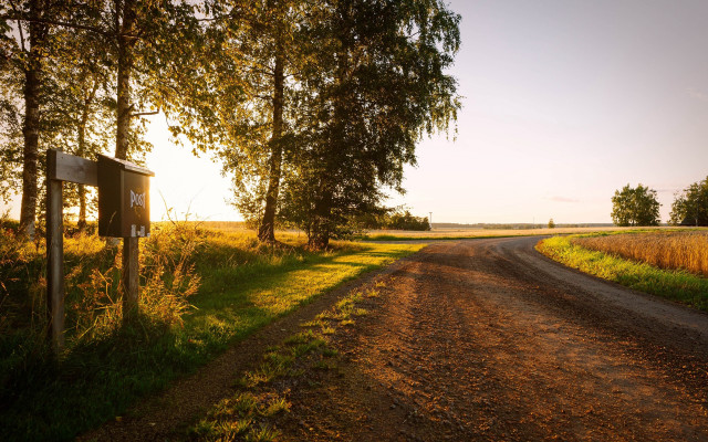 Dirt road sign field trees free wallpaper - medium preview image