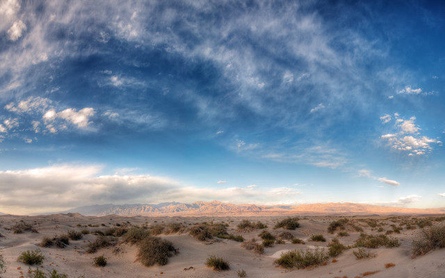 Desert bushes mountains sky ocean free wallpaper - medium preview image