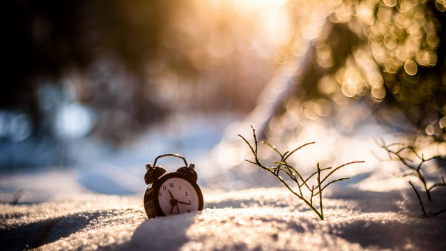 Small clock snow tree branch free wallpaper - medium preview image