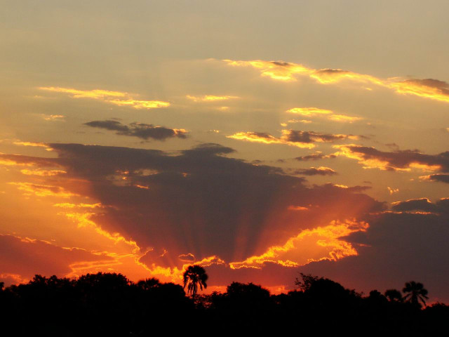 Sunset plane trees clouds sky free wallpaper - medium preview image
