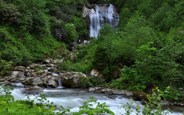 Waterfall forest stream trees rocks free wallpaper - medium preview image