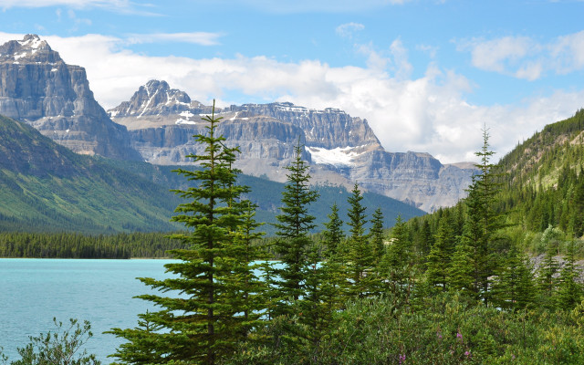 Mountain lake trees snowy horizon free wallpaper - medium preview image