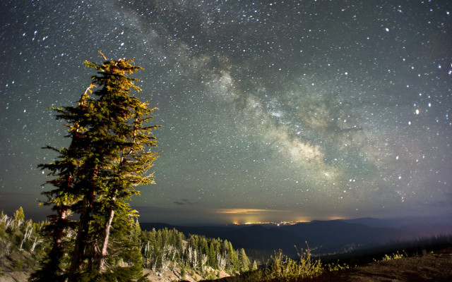 Hill tree night starry sky free wallpaper - medium preview image