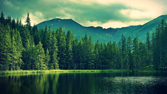 Lake forest mountains cloudy sky #5 free wallpaper - medium preview image