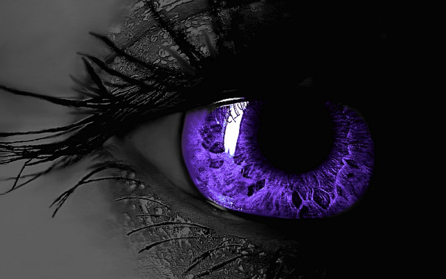 Purple iris eye gothic forest free wallpaper - medium preview image