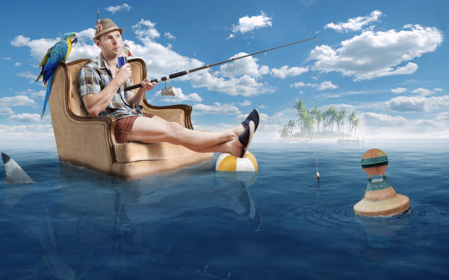 Man sitting fishing bird beach free wallpaper - medium preview image
