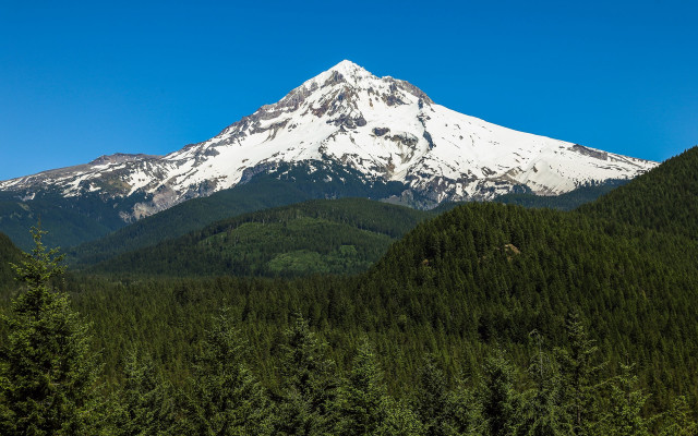 Mountain snow peak trees blue #2 free wallpaper - medium preview image