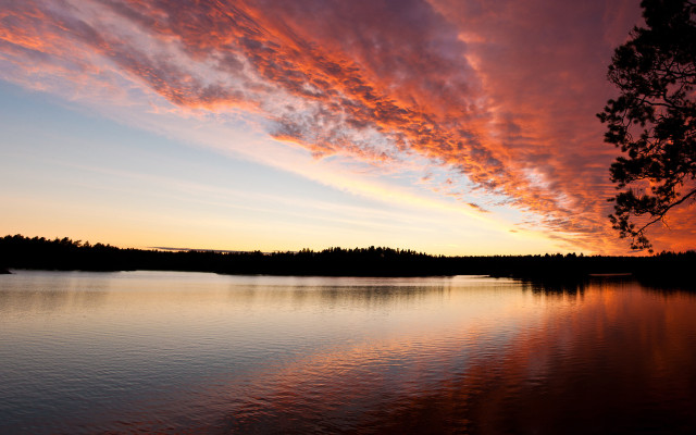 Lake tree sunset clouds forest #2 free wallpaper - medium preview image