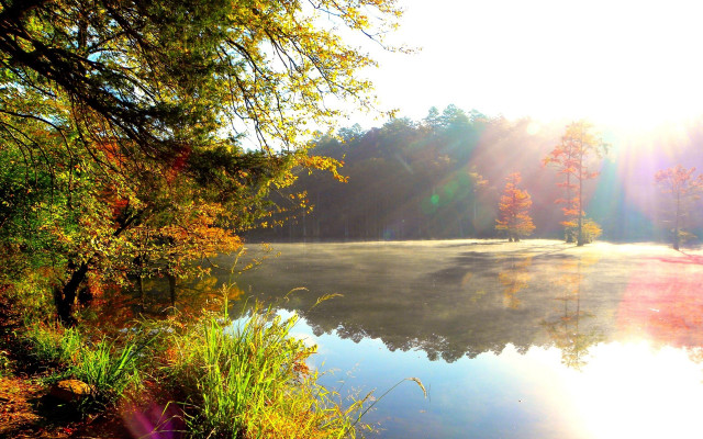 Lake trees grass sunset autumn #2 free wallpaper - medium preview image