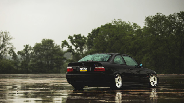 Black car flooded area trees free wallpaper - medium preview image