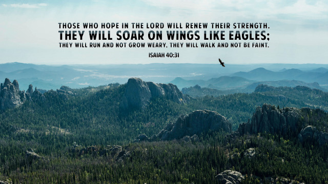 Bird mountain horizon hope nature free wallpaper - medium preview image