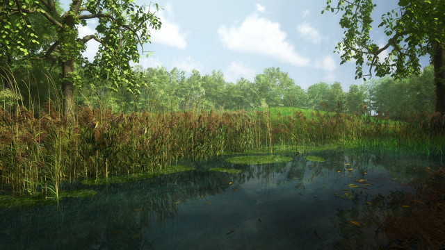 Swampy landscape blue sky trees free wallpaper - medium preview image