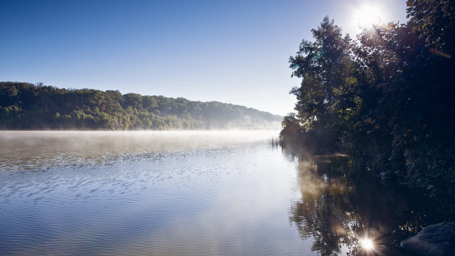 Lake foggy shore forest sunset free wallpaper - medium preview image