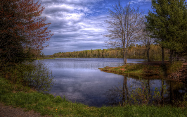 Lake forest path bench autumn free wallpaper - medium preview image