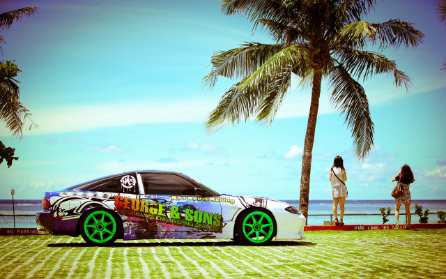 Car palm tree woman matte free wallpaper - medium preview image