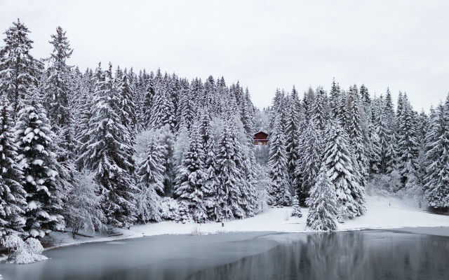 Lake snow trees forest red free wallpaper - medium preview image