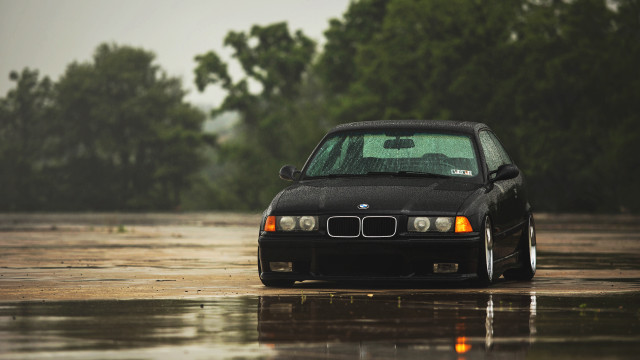 Black car flooded forest tiltshift free wallpaper - medium preview image