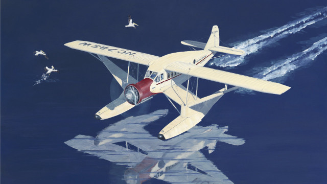 Small plane birds flying over free wallpaper - medium preview image