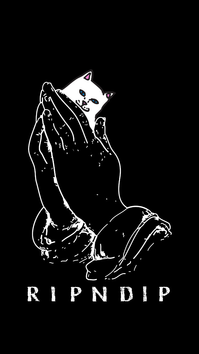 Black white cat ripndip chest free wallpaper - medium preview image