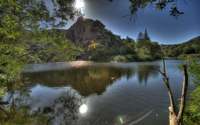 Lake mountain trees sun birds free wallpaper - medium preview image