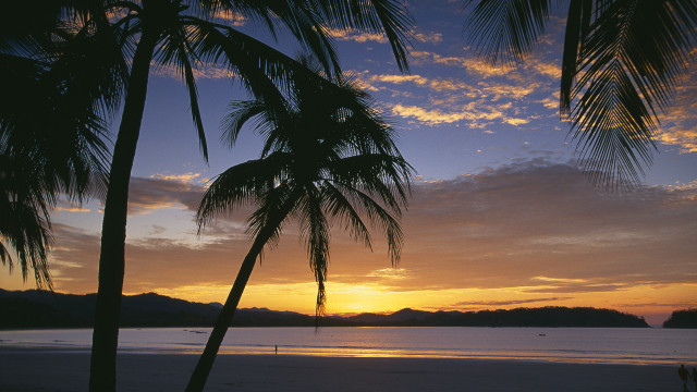 Sunset palm trees beach mountain free wallpaper - medium preview image