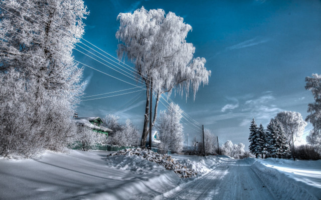 Snowy road telephone pole bare free wallpaper - medium preview image
