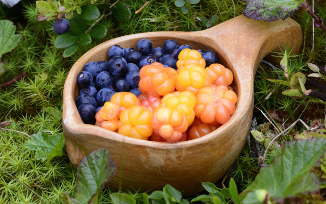 Wooden spoon blueberries oranges ecological free wallpaper - medium preview image