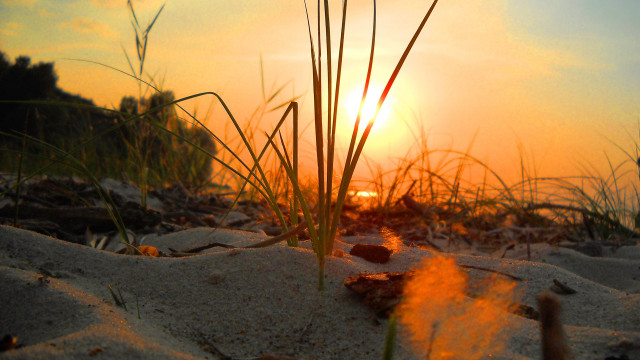 Sunset beach grass dusk fire free wallpaper - medium preview image