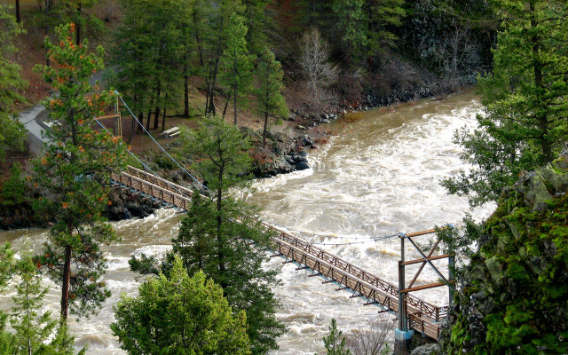 Bridge rapids surfboard trees nature free wallpaper - medium preview image