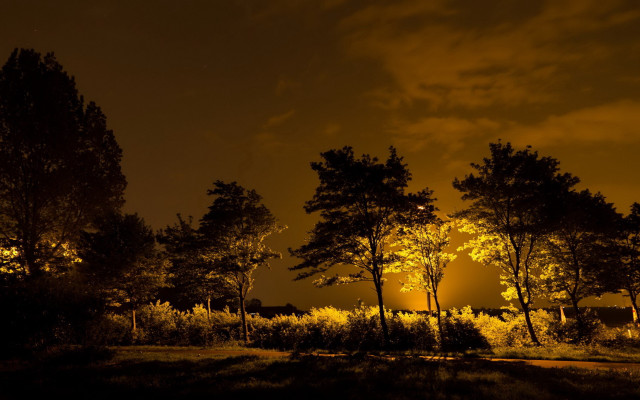 Night trees streetlight clouds autumn free wallpaper - medium preview image