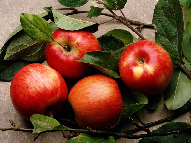 Apples on branch leaves still free wallpaper - medium preview image