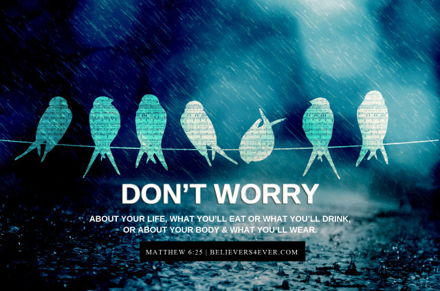 Birds wire worry rainy day free wallpaper - medium preview image