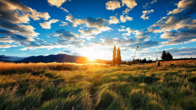 Sunset field tree clouds horizon free wallpaper - medium preview image