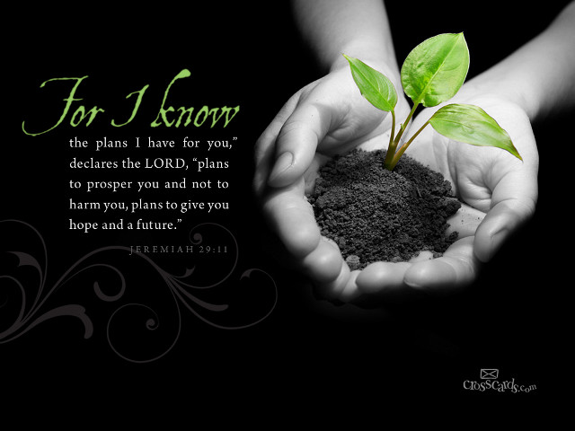 Person holding plant bible verse free wallpaper - medium preview image