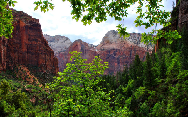 Mountain range trees cloudy sky #8 free wallpaper - medium preview image