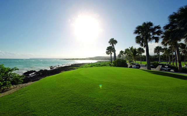 Golfcourse ocean palmtrees sunset landscape free wallpaper - medium preview image