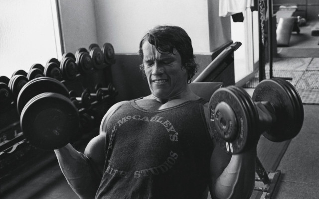 Man holding barbell gym dumbbell free wallpaper - medium preview image
