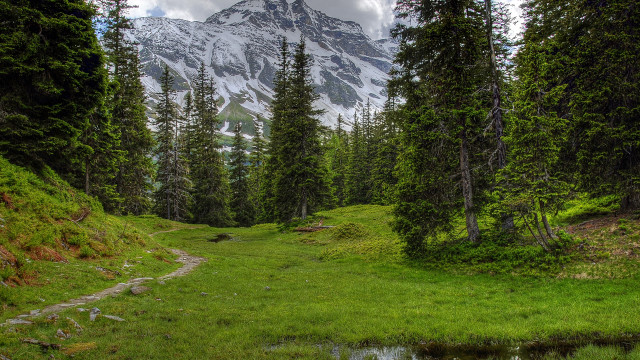Grassy field stream mountain snow free wallpaper - medium preview image