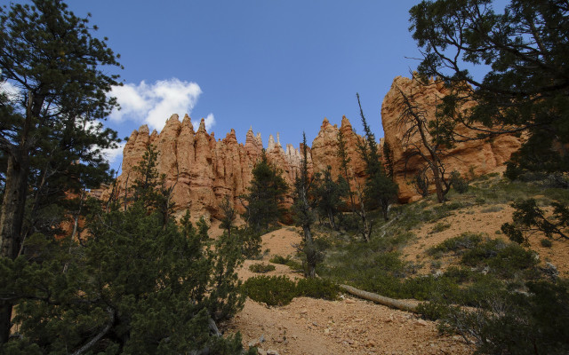 Rocky mountain trees lake sky free wallpaper - medium preview image