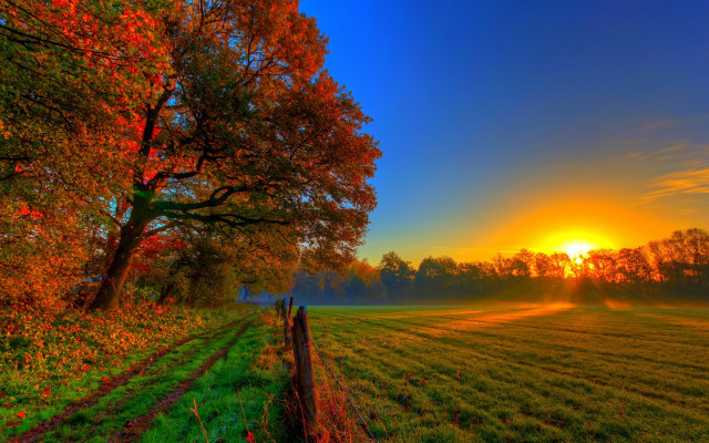Autumn fence trees sunset landscape free wallpaper - medium preview image