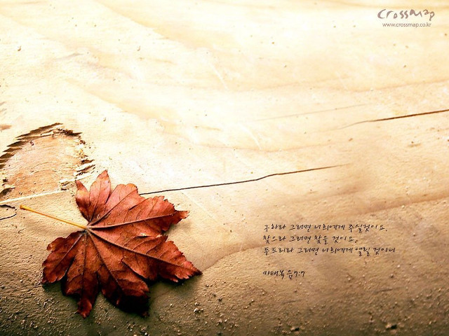 Leaf wood writing pen middle free wallpaper - medium preview image